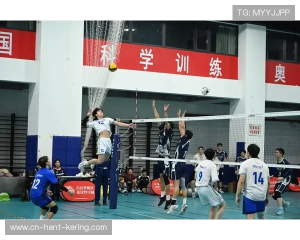 与张伟的深度对话：回顾他的辉煌排球生涯与未来展望