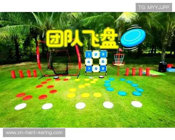 飞盘运动的魅力与挑战上海飞盘队的团队意识与发展探讨